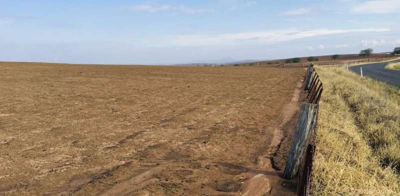 Intensive Farming Threatens Australia’s Landscape – Discover Sustainable Alternatives