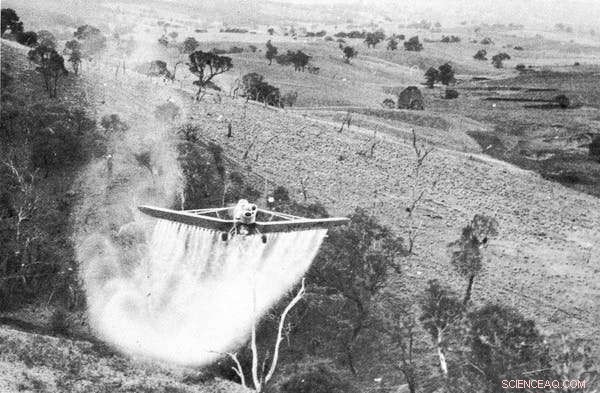 Intensive Farming Threatens Australia’s Landscape – Discover Sustainable Alternatives