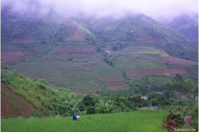 Strategies to Combat Climate Change, Safeguard Food Security, and Restore Degraded Lands