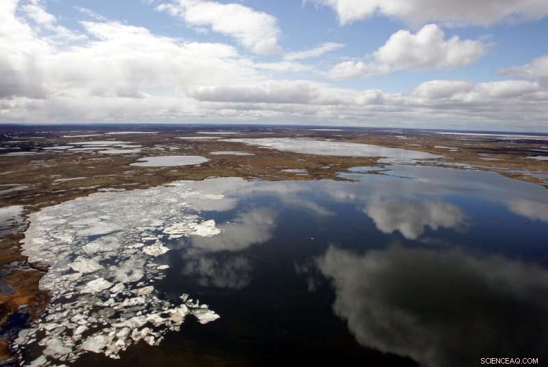 Siberia Sees Record-High Temperatures: Global 12-Month Warmth Tie Confirmed