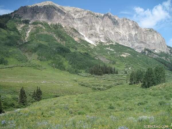 How Animals Adapt to the Earth s Shifting Seasons Amid Climate Change