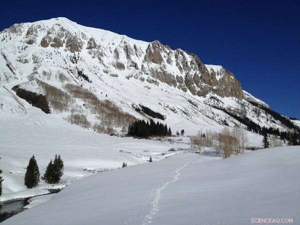 How Animals Adapt to the Earth s Shifting Seasons Amid Climate Change