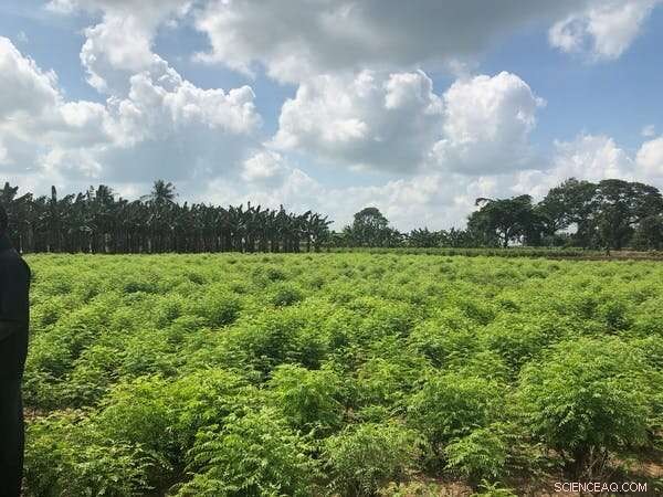 Climate Crisis Forces Families to Reject Farmers, Turning to Arranged Marriages