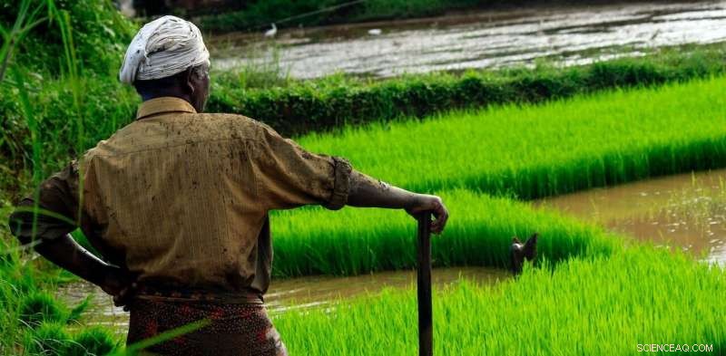 Climate Crisis Forces Families to Reject Farmers, Turning to Arranged Marriages