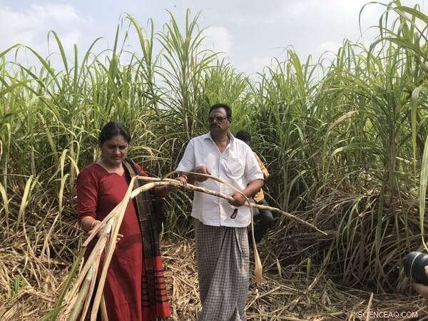 Climate Crisis Forces Families to Reject Farmers, Turning to Arranged Marriages