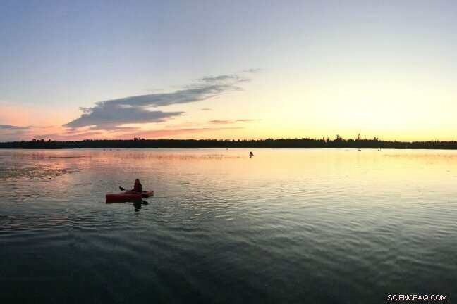 New Study Reveals Majority of Lakes Emit Nitrogen into the Atmosphere