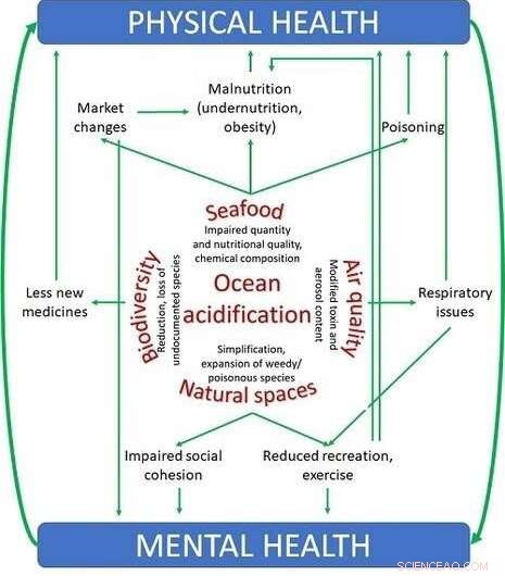 Ocean Acidification: A Growing Threat to Human Health