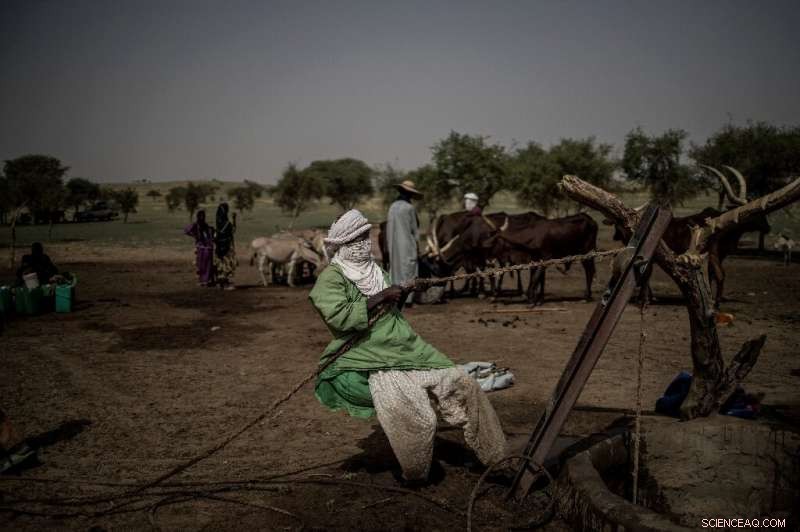 UN Warns: Global Temperatures to Rise  1°C Above Pre-Industrial Levels Within 5 Years