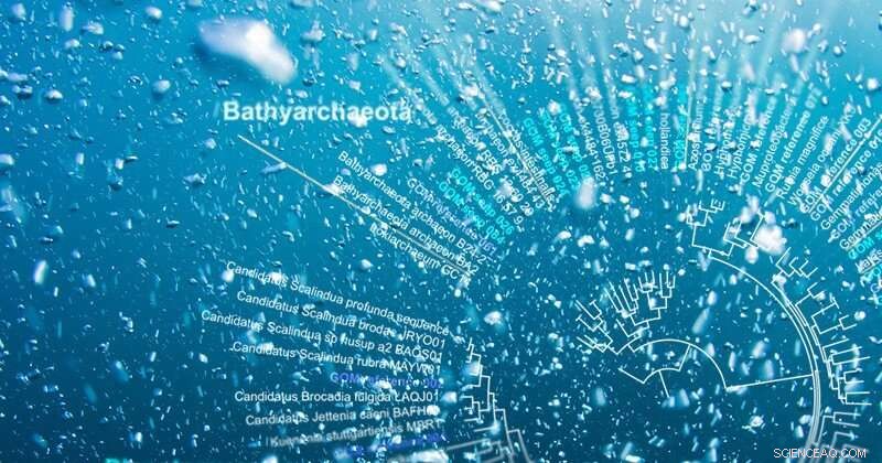 Unveiling Microbial Communities Inside and Outside Seafloor Hydrocarbon Seeps
