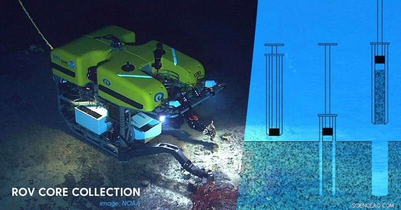 Unveiling Microbial Communities Inside and Outside Seafloor Hydrocarbon Seeps