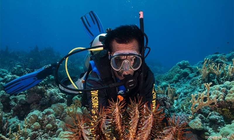 Study Forecasts Coral Bleaching and Starfish Invasions Months Ahead, Enhancing Conservation Efforts