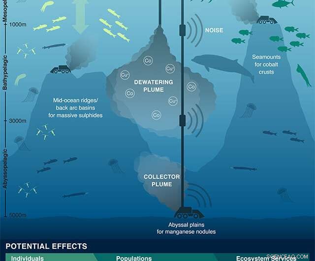 Scientists Call for Caution: In‑Depth Assessment Needed on Deep‑Sea Mining’s Ecological Impact