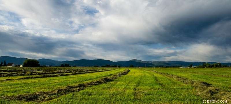 New Study Reveals Drivers Behind Increased Plant Productivity in the Great Plains and Rockies