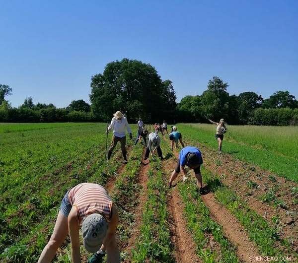 Innovative Communities Pioneering Sustainable and Equitable Living Models