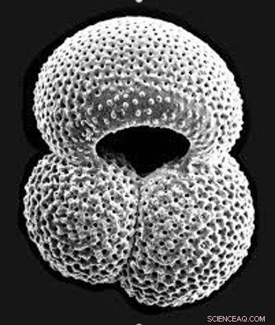 Projected 2025 CO₂ Levels: Higher Than Any Point in the Last 3.3 Million Years