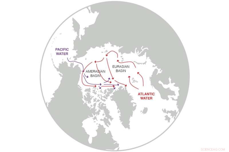 Sub-Arctic Seas Fuel Transformations in the Arctic Ocean