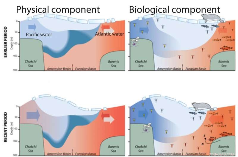 Sub-Arctic Seas Fuel Transformations in the Arctic Ocean