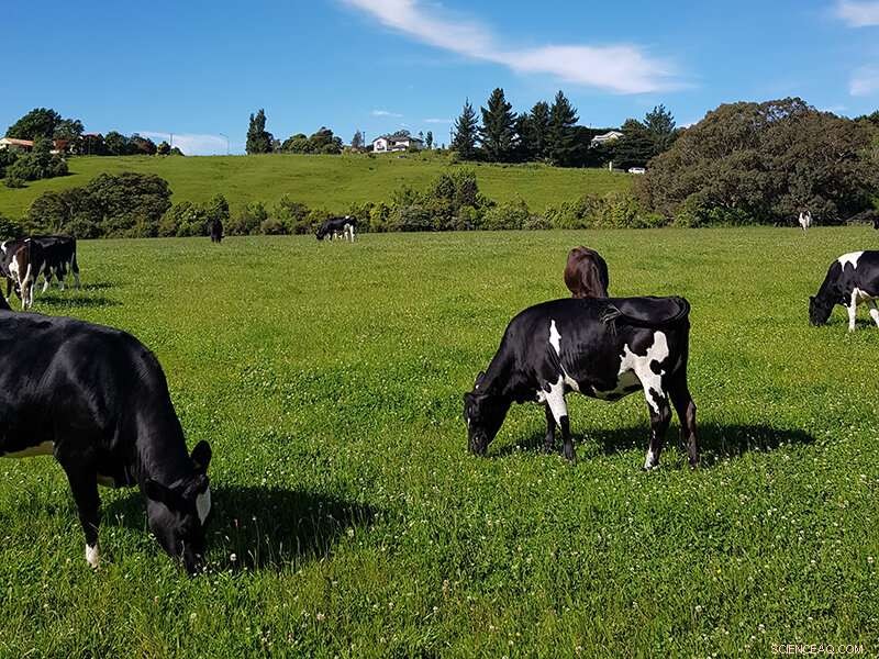 When Fluorine Becomes Harmful: Safe Exposure Levels Explained