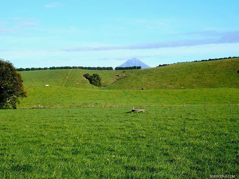 When Fluorine Becomes Harmful: Safe Exposure Levels Explained