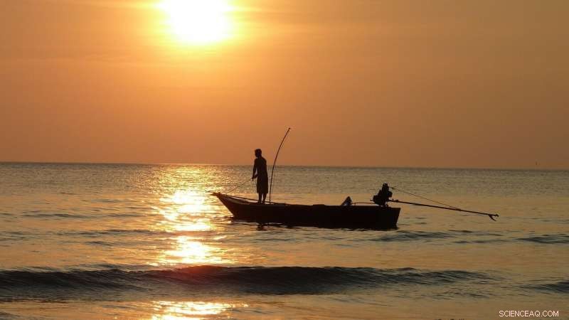 Social Media‑Inspired Models Reveal Winter Warming Threatens Global Fish Stocks