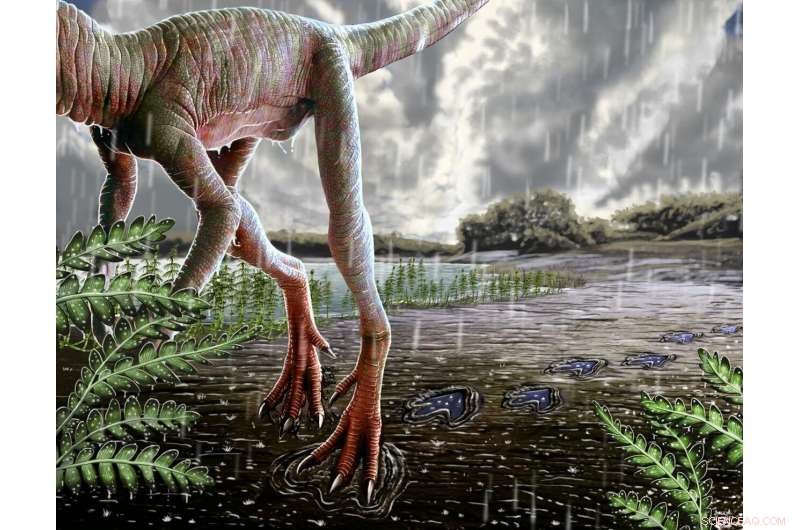 Exploring Climate Dynamics at the Dawn of Dinosaurs