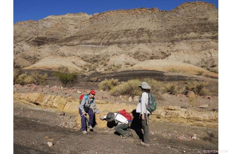 Exploring Climate Dynamics at the Dawn of Dinosaurs