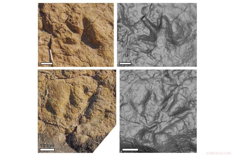 Exploring Climate Dynamics at the Dawn of Dinosaurs