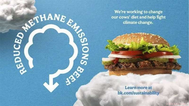 Burger King Tackles Climate Change by Shifting Cattle Diets