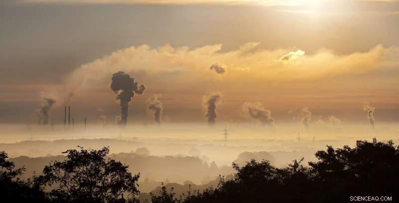 The Impact of Air Pollution on Brain Development: When Does Damage Begin?