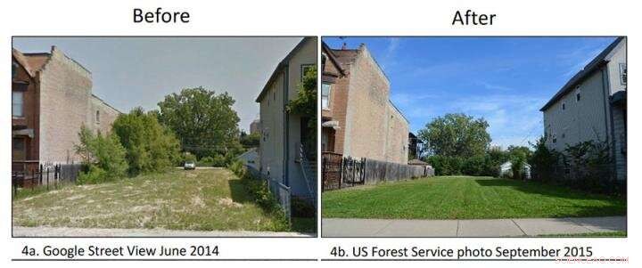 Large Lot Program Demonstrates Private Land Stewardship Effectively Reduces Urban Vacancy