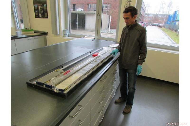 Rapid Biological Recovery After the Chicxulub Impact: Insights into End-Cretaceous Mass Extinction Response