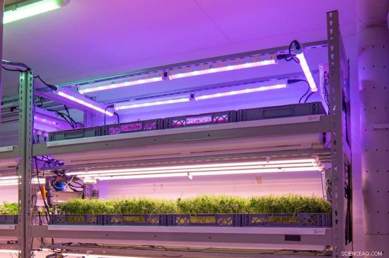 Vertical Farming: Harnessing Soil‑Free, Computer‑Controlled Systems for Sustainable Growth