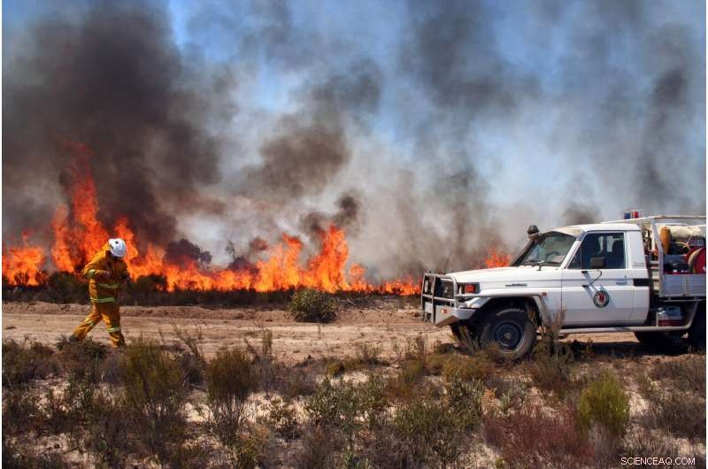 Optimizing Prescribed Burns to Minimize Bushfire Risk