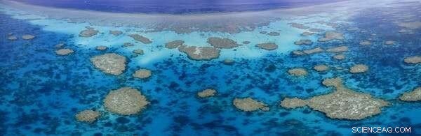 Tour Operators Reveal Coral Bleaching on Remote Western Australian Reefs During Lockdown