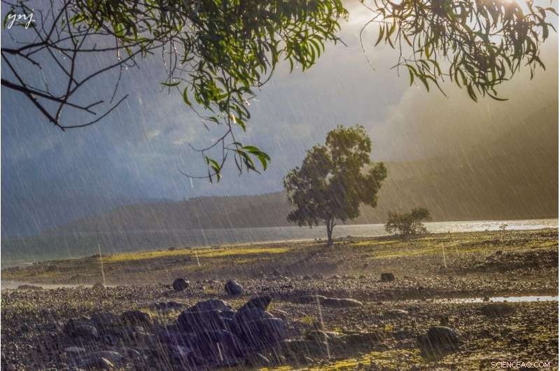 Predicting Monsoon Rainfall Months Ahead Using Satellite Data and Climate Simulations