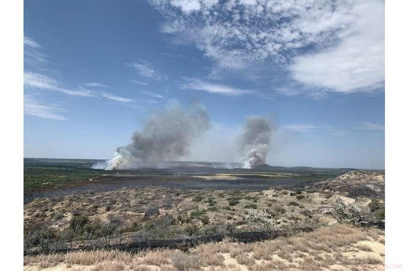 Accelerated Drying Drives Rising Wildfire Threat Across Texas