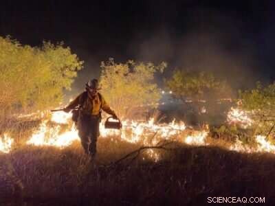 Accelerated Drying Drives Rising Wildfire Threat Across Texas