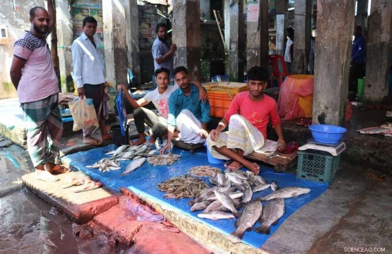 COVID‑19 Lockdown Unveils Food Insecurity Crisis in Mongla, Bangladesh