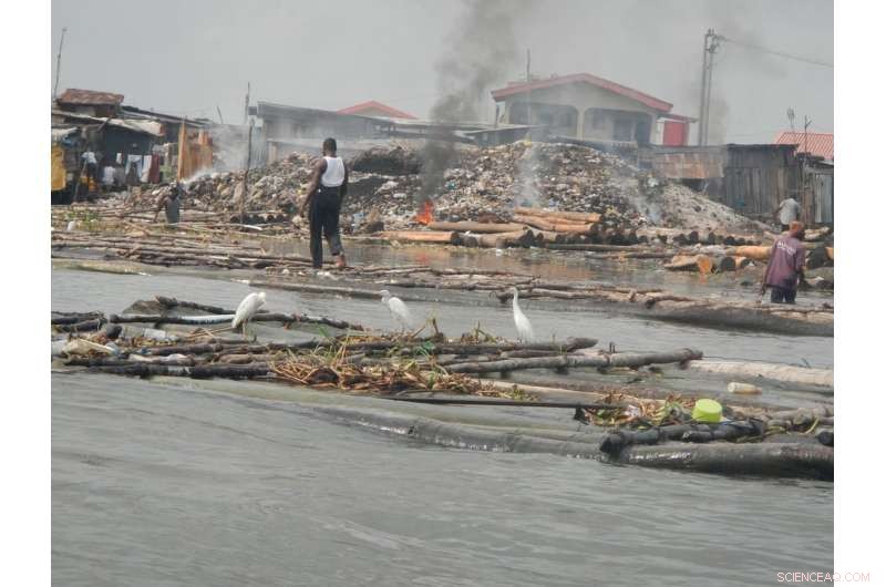 Uncovering the Hidden Threats: A Deep Dive into Lagos Lagoon s Dangerous Pollutants