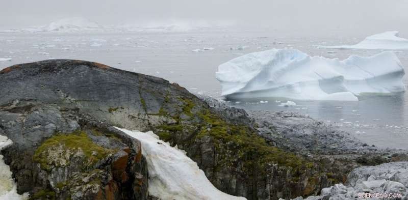 Human Encroachment Threatens Antarctica’s Last Wild Frontiers and Fragile Biodiversity