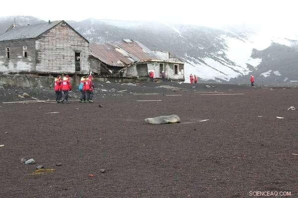 Human Encroachment Threatens Antarctica’s Last Wild Frontiers and Fragile Biodiversity