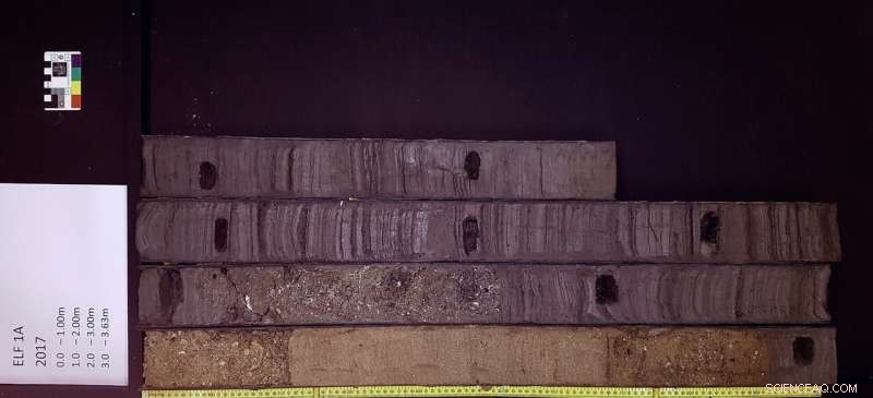 Doggerland DNA Reveals How the UK Was Once Connected to Europe