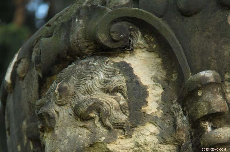 Revolutionary Climate Fix: Using Underground Rocks to Capture Carbon