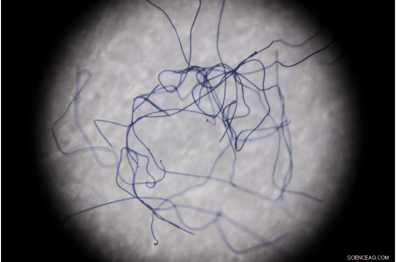 Reduce Laundry‑Generated Microfibers by 80% with Proven Device Technology