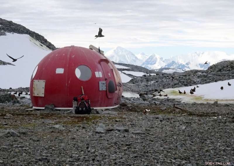 Antarctica: Even Small Human Footprints Leave a Big Impact