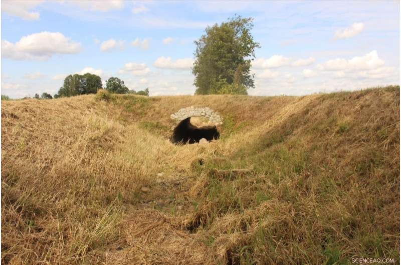 How Water is Distributed During Droughts: Strategies for Soil Retention and Landscape Management