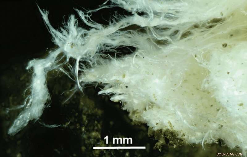 Hazardous Dust from Earthworks May Trigger Asbestos-Related Cancers