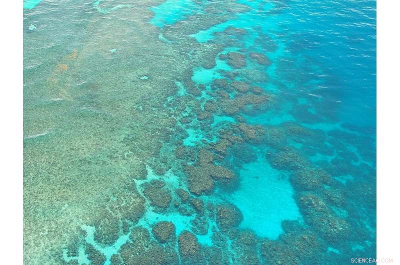 Governments Oppose UNESCO s World Heritage in Danger Designations: A Study