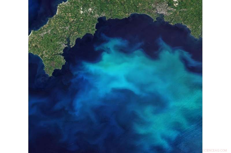 Exploring Ocean Hues: A Rainbow Journey with PACE