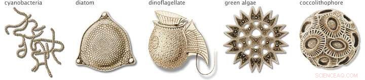 Exploring Ocean Hues: A Rainbow Journey with PACE